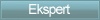 Ekspert
